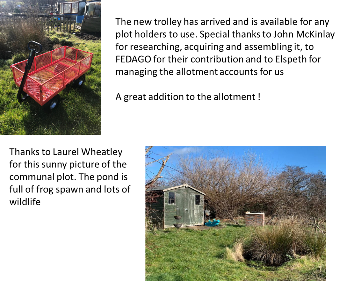 summer-on-the-allotment-craigentinny-allotments